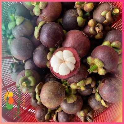 Măng Cụt Ruột Trắng Hộp 500g