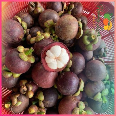 Măng Cụt Xuất Khẩu Thùng 3kg