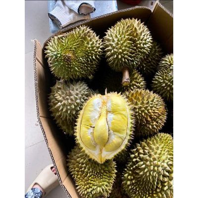 Sầu Riêng Ri6 Cơm Vàng Hạt Lép Khay 500g #1